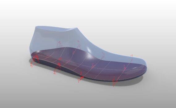 Parametric Insoles and Orthotic Inserts