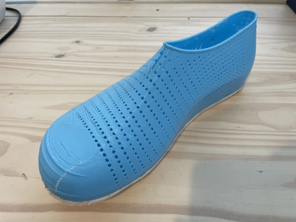 3D Printed Shoe with Sheet Sole