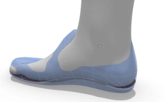 shoe fitting is complex do to organic shape of foot and shoe