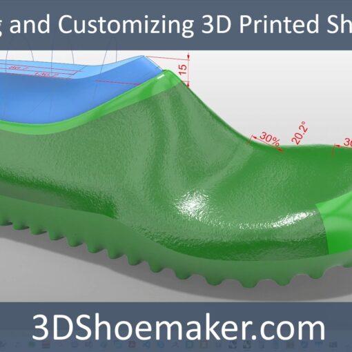 Designing and Customizing 3D Printed Shoe Models