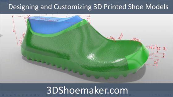 Designing and Customizing 3D Printed Shoe Models