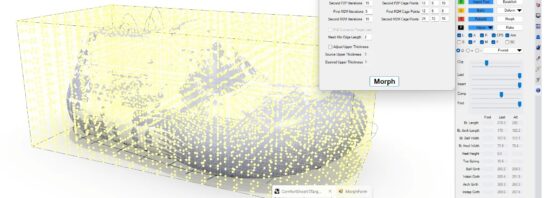 Designing and Customizing 3D Printed Shoe Models Morphing to Custom Lasts