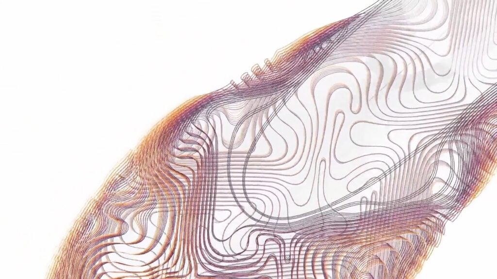 Oxman Toolpaths for 3D Printing Shoes