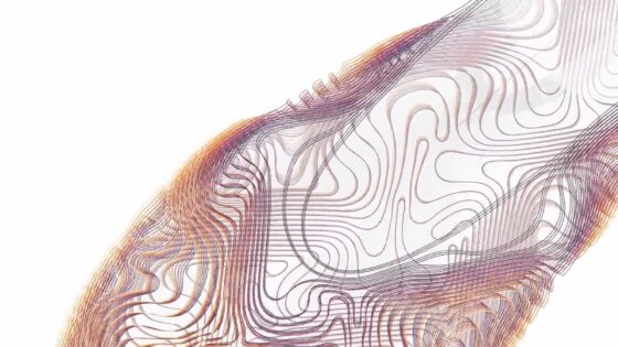 Oxman Toolpaths for 3D Printing Shoes