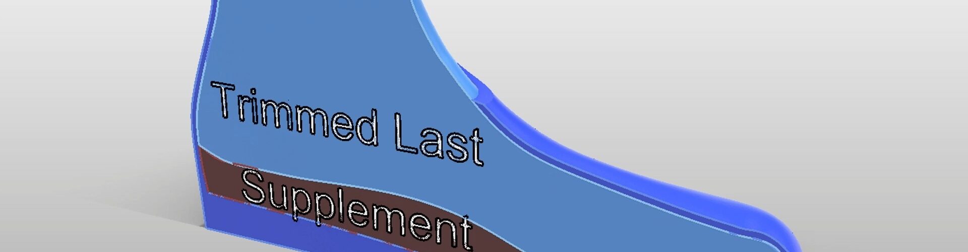 Supplement Design For Custom Orthopedic Shoe Lasts